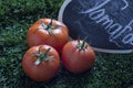 red tomato on grass in winter