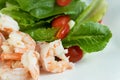 Red tomato green leave vegetable salad and prawn ingredient for food on white background