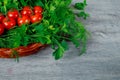 Red tomato and green parsley a black wood background Royalty Free Stock Photo