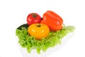 red tomato and green salad