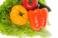 red tomato and green salad