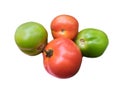 Red tomato and green tomato vegetable fruits set isolated on the white background Royalty Free Stock Photo