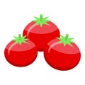 Red tomato icon isometric vector. Pasta food