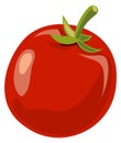 Red tomato icon. Ripe juicy raw vegetable