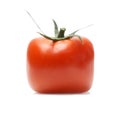 Red Tomato isolated Royalty Free Stock Photo