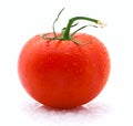 Red tomato isolated over white background Royalty Free Stock Photo