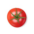 Red tomato isolated on white background. Fresh snack, healthy food concept. Closeup Vector 3d illustration Royalty Free Stock Photo