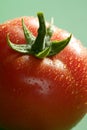 Red tomato macro over green background