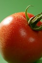 Red tomato macro over green background
