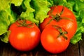Red tomato and salad vegetarian food. Red tomato is a popular large berry. In cooking-juice, sauce, ketchup. Herbaceous plant.