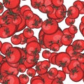 Red tomato seamless pattern sketch vector Royalty Free Stock Photo
