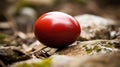 a red tomato sitting on top of a rocky ground next to leaves