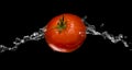 Red tomato splash macro isolated over black