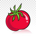 Red tomato vector flat icon on a transparent background