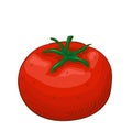 Red tomato