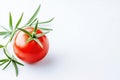 Red tomato on a white background. Royalty Free Stock Photo