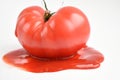 Red tomato on white background isolated bright juicy Royalty Free Stock Photo