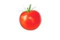 Isolated red tomato vegetable Royalty Free Stock Photo