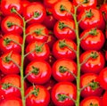 Red tomatoes Royalty Free Stock Photo