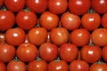 Red tomatoes Royalty Free Stock Photo