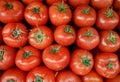 Red tomatoes Royalty Free Stock Photo
