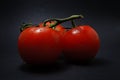 Red tomatoes Royalty Free Stock Photo