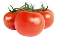 Red tomatoes