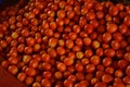 red tomatoes background. Group of tomatoes in market, Sangamner Royalty Free Stock Photo
