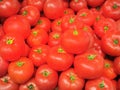 Red tomatoes background. Group of tomatoes Royalty Free Stock Photo
