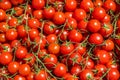 Red tomatoes background. Group of fresh cherry tomatoes