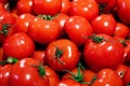 Red tomatoes background. Top view. Royalty Free Stock Photo