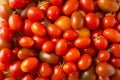 Red tomatoes background. Top view. Fresh organic tomatoes as background, closeup. Royalty Free Stock Photo