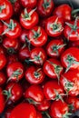 Red tomatoes background. top view. Header for website Royalty Free Stock Photo