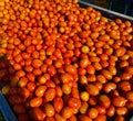 Red tomatoes beutiful veiw on trolley