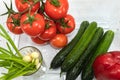 Red tomatoes on a branch, one red bell pepper, large cucumbers, green onions in a glass, top view Royalty Free Stock Photo