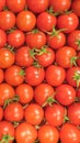 Red tomatoes in carton box as food background. healthy vegetables on display at store. Supermarket retail