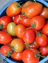 Red tomatoes closeup Royalty Free Stock Photo