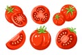 Red tomatoes collection Royalty Free Stock Photo
