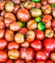 Red tomatoes at Euskadi