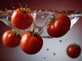 red tomatoes fresh vegetables washed under water Royalty Free Stock Photo