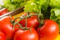 Red tomatoes on a green branch with a large pale. Lettuce leaves in the background. Vegetables for cooking.