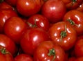 Red tomatoes with green twigs in a heap background Royalty Free Stock Photo