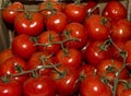 Red tomatoes with green twigs in a heap background Royalty Free Stock Photo