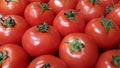 Red tomatoes. Harvest of ripe tomatoes. Tomato counter