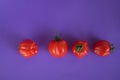 Group of red tomatoes on purple background