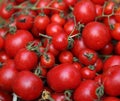 Red tomatoes Royalty Free Stock Photo