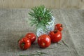 Red tomatoes and pine branch point Royalty Free Stock Photo