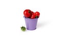 Red tomatoes in a purple bucket on a white background