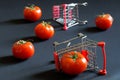 Red tomatoes and supermarket carts are scattered across the dark surface. Concept of trade problems, agricultural discontent,