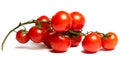 Red tomatoes on a twig on a white background Royalty Free Stock Photo